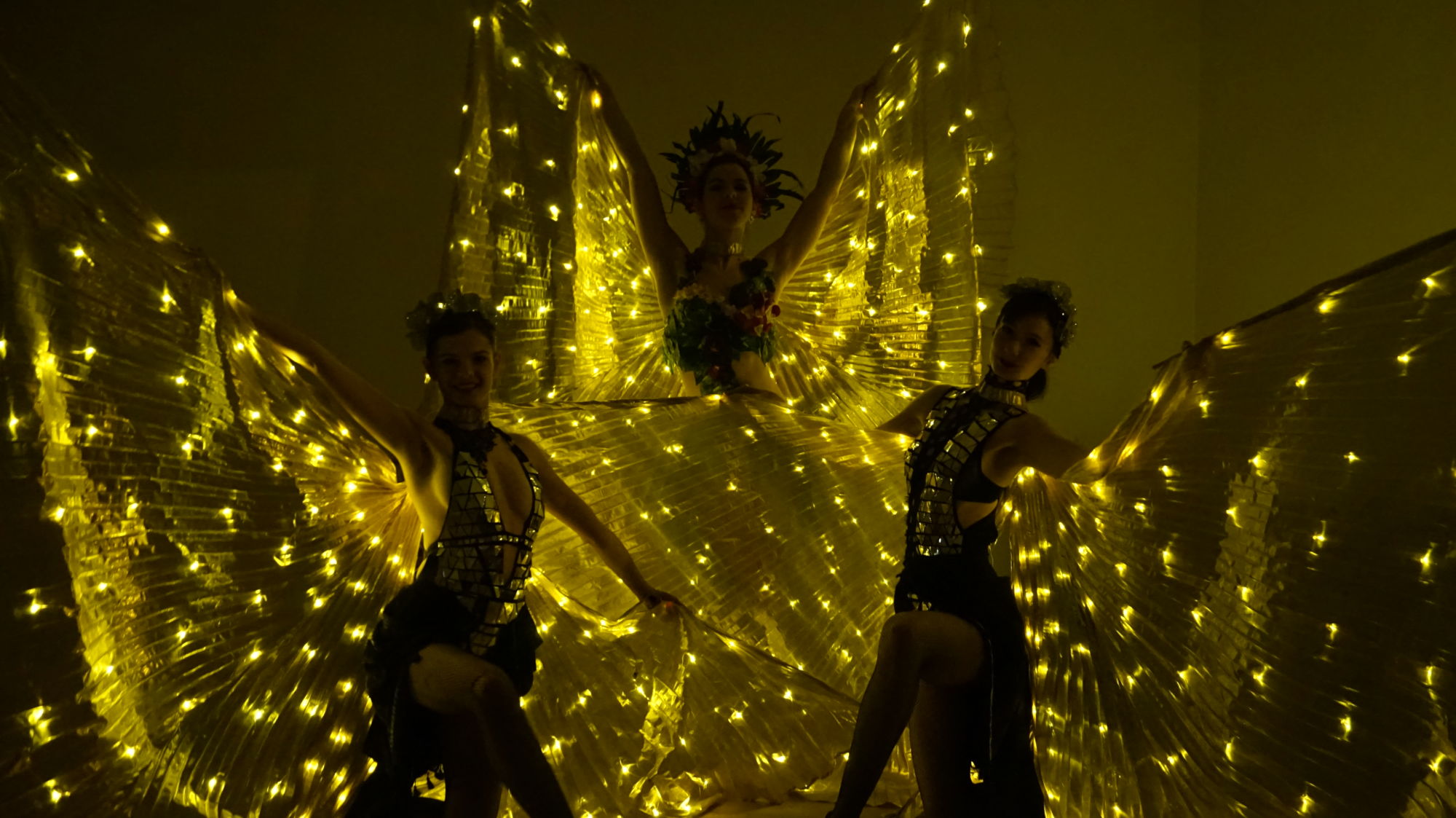 LED show - pixel poi - taneční vystoupení - Rinas Company